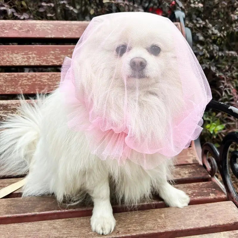 Pet Anti-Mosquito Headgear Random Eating Prevention Breathable Dog Head Cover Pet Protective Mask Comfort Anti-Bite Head Cover Oasis Select