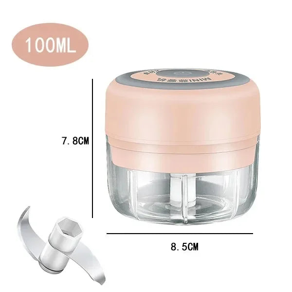 250/100ML Garlic Mincer USB Charging Powerful Mini Electric Garlic Chopper Portable Garlic Crusher Kitchen Food Chopper Unisex Oasis Select 105-Pink100ml