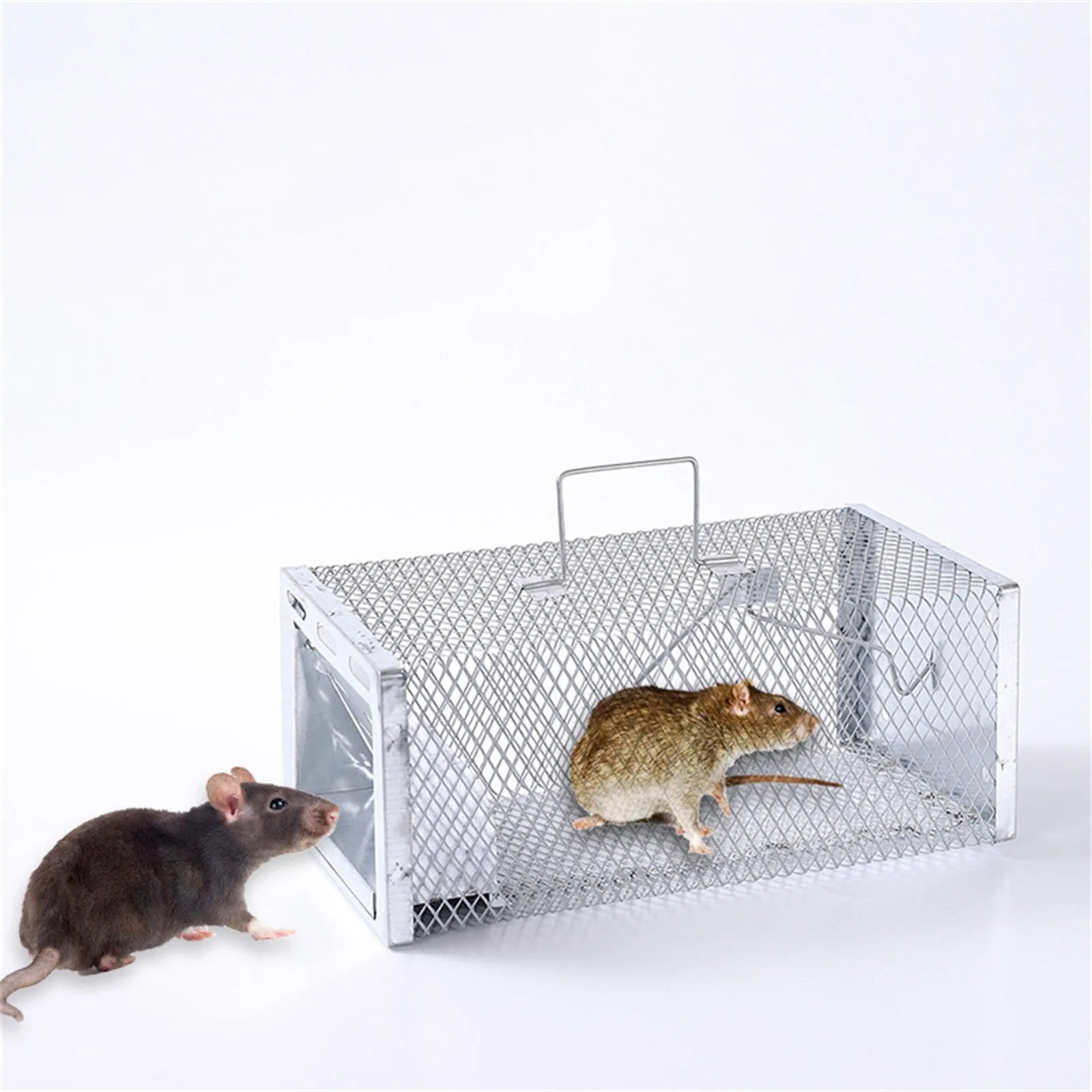 Humane Double Door Live Mouse Trap – Reusable Rat Cage Live Animal Trap Oasis Select