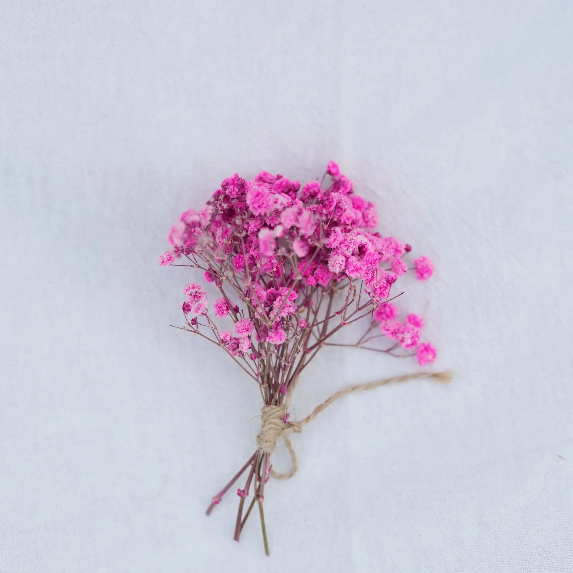 Dried Flower Bouquet High-Quality Fingertip Bouquet Greeting Card Decoration Versatile Diy Flower Kit For Diy Projects Event Oasis Select 13