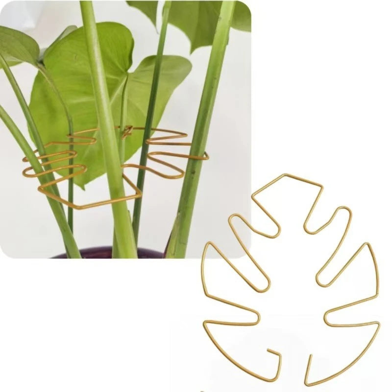 Anti-toppling Plant Stem Support No Nail Needed Multi-purpose Flower Climbing Stem Holder Vine Branch Monstera Stabilizer Oasis Select