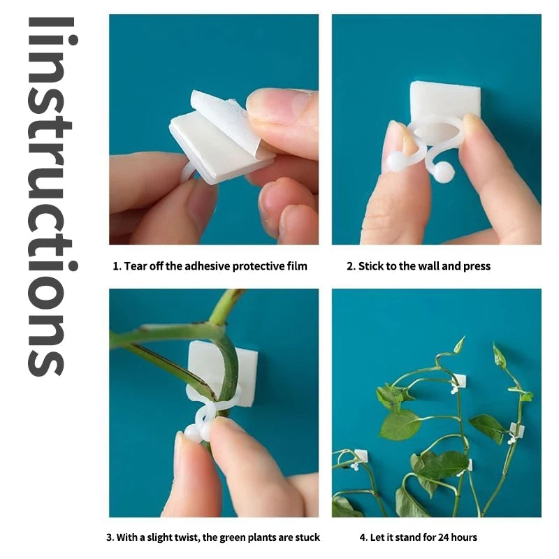 Plant Climbing Wall Self-Adhesive Fixed Buckle Hook Fastener Tied Fixture Vine Buckle Hook Garden Plant Wall Climbing Vine Clips Oasis Select