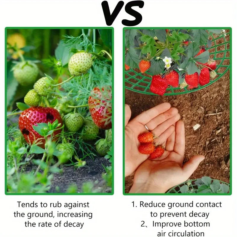 5/10pcs Strawberry Plant Supports with Three Sturdy Legs Provide Protection for Strawberries Against Mold, Rot, and Dirt Oasis Select