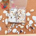 1 Box Mix Resin Simulation Pearls Shell For Home Decoration DIY Craft Photo Frame Friend Gifts Drift Bottle Aquarium Decorations Oasis Select Style 1