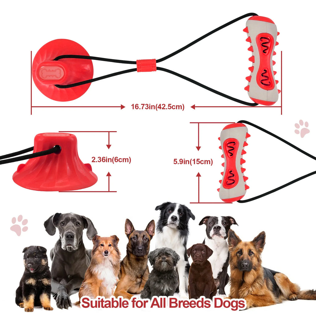 Dog Toys, Teething Sticks, Chewable Teeth Cleaning Bones, Dog Toothbrushes, Toys, Chewing Gum, Pet Supplies Oasis Select 25006-2A