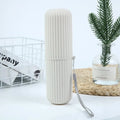 Travel Toothbrush & Toothpaste Case | Portable Striped Organizer