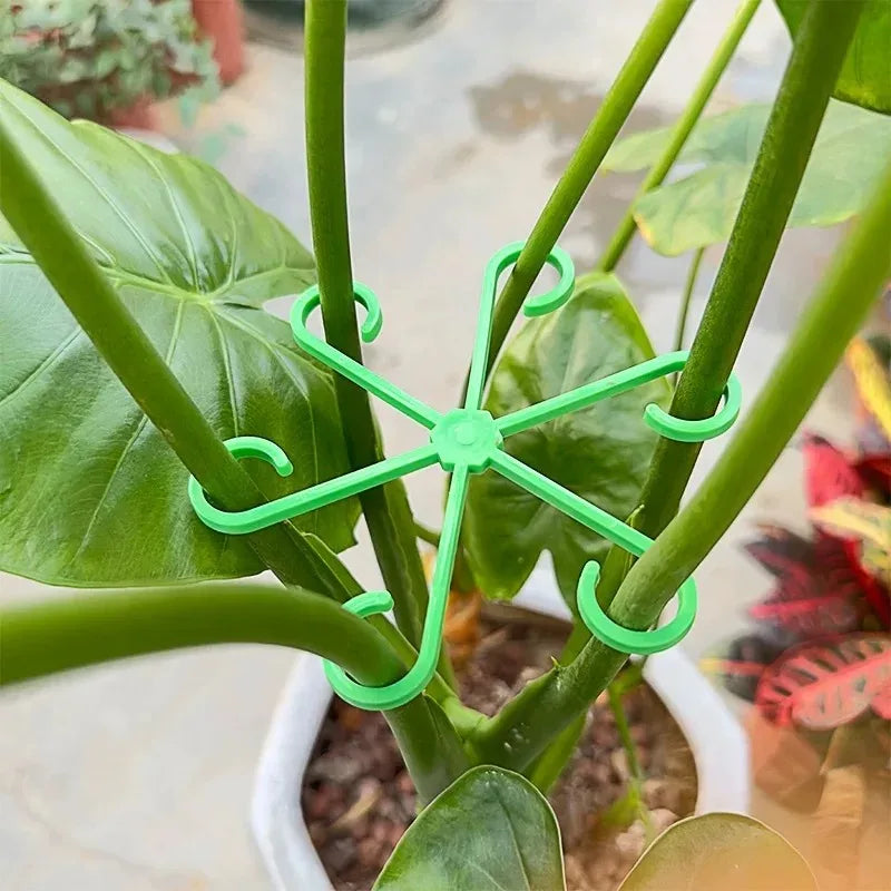 Flower Plant Stem Support Stakes Climbing Houseplant Stand Frame Plastic Garden No Stake Trellis Indoor Plant Holder Rack Hoops Oasis Select