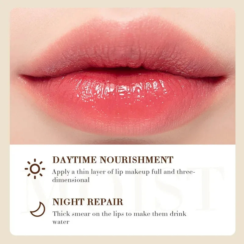Coconut Lip Balm – Moisturising Daily Lip Care for Men & Women Coconut Lip Balm Oasis Select