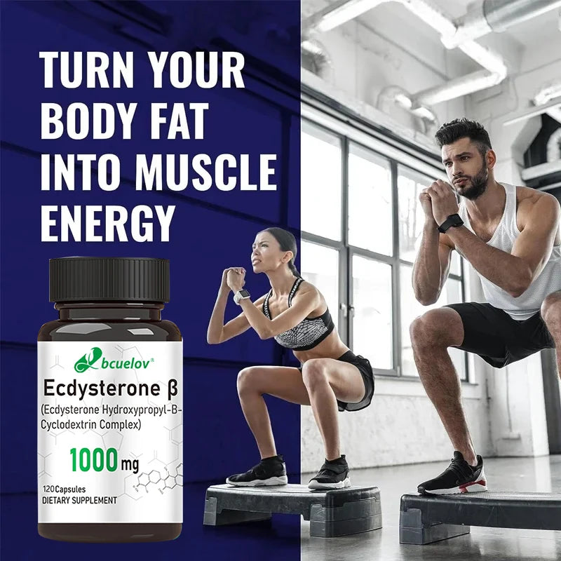 Ecdysterone Capsules – Lean Muscle & Athletic Performance Support