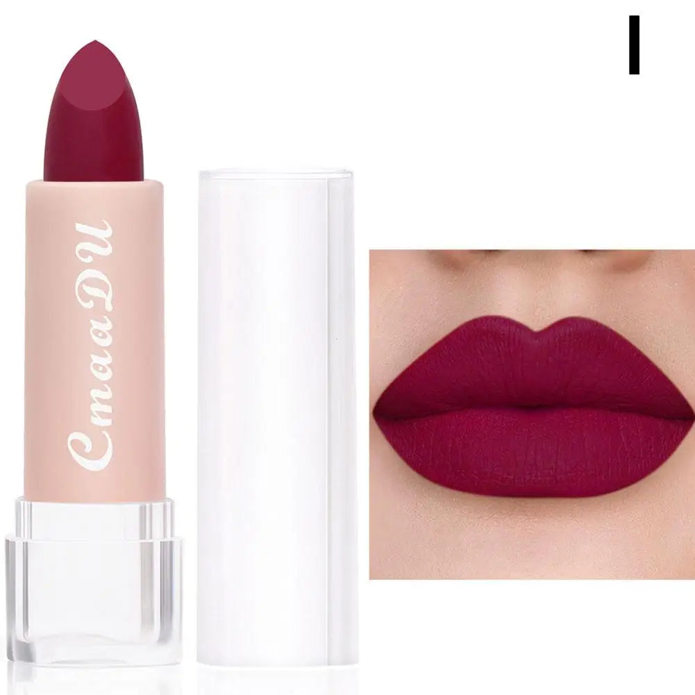 CmaaDu 15 Colour Moisturizing Matte Velvet Lipstick Easy To Color Waterproof Long Lasting Nude Lipstick Lipgloss Makeup Cosmetic Oasis Select 09