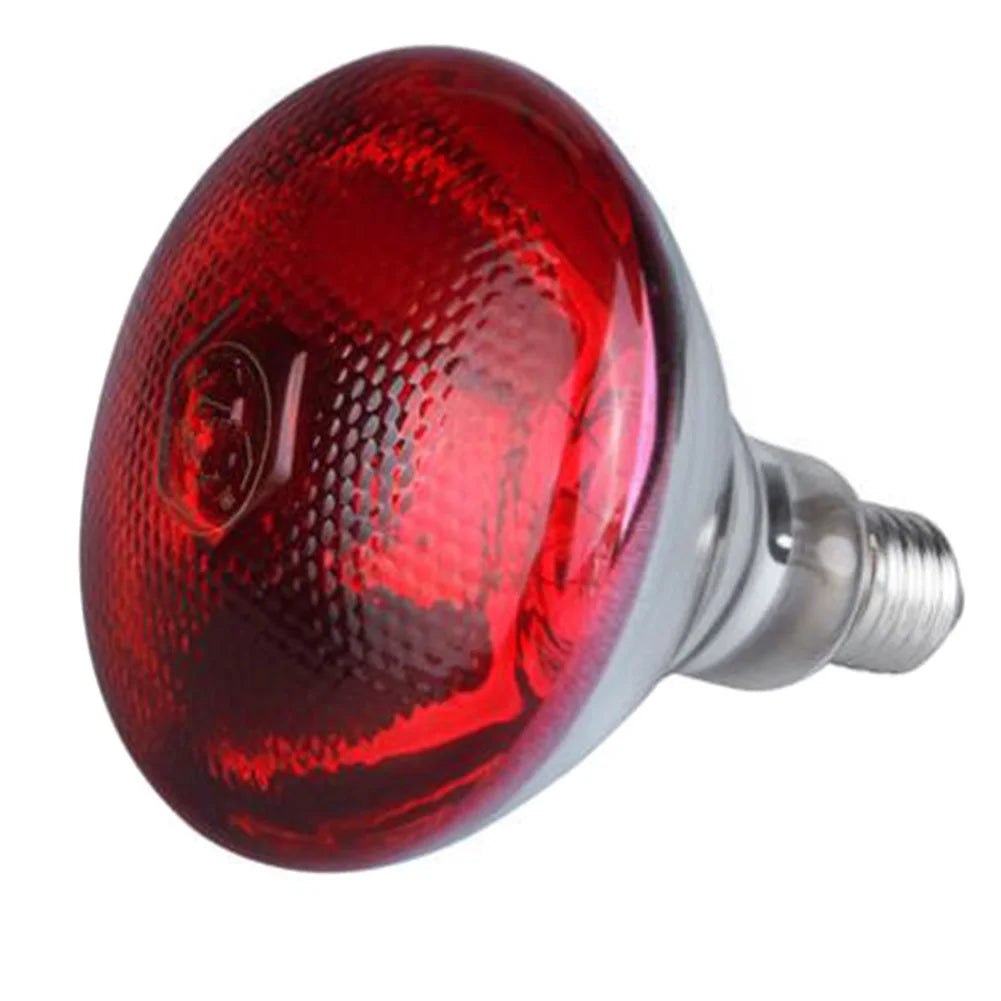 Infrared Heat Lamp 100–275W Quartz Glass E27 Breeding Bulb