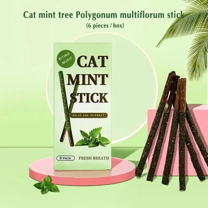 1/2/3/4box Natural Cat Stick Mint Caught Bite Excited Rods Silvervine For Cat Teeth Cleaning Treating Pet Supply Cat Supplies Oasis Select 1box Green