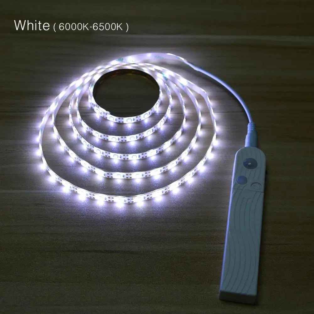 Led Light Strip PIR Motion Sensor Induction Lamp Tape Battery Powered 60leds/M 2835SMD Night Light for Bed Closet Wardrobe Stair Oasis Select WHITE 2m