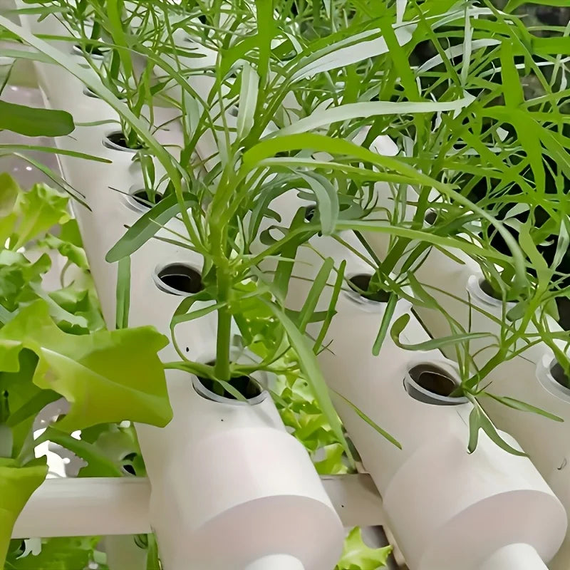 10pcs Hydroponic Seedling Basket Set (Includes 10 Planting Baskets + 10 Seedling Sponges)|Seed Stabilization to Prevent Drifting Oasis Select