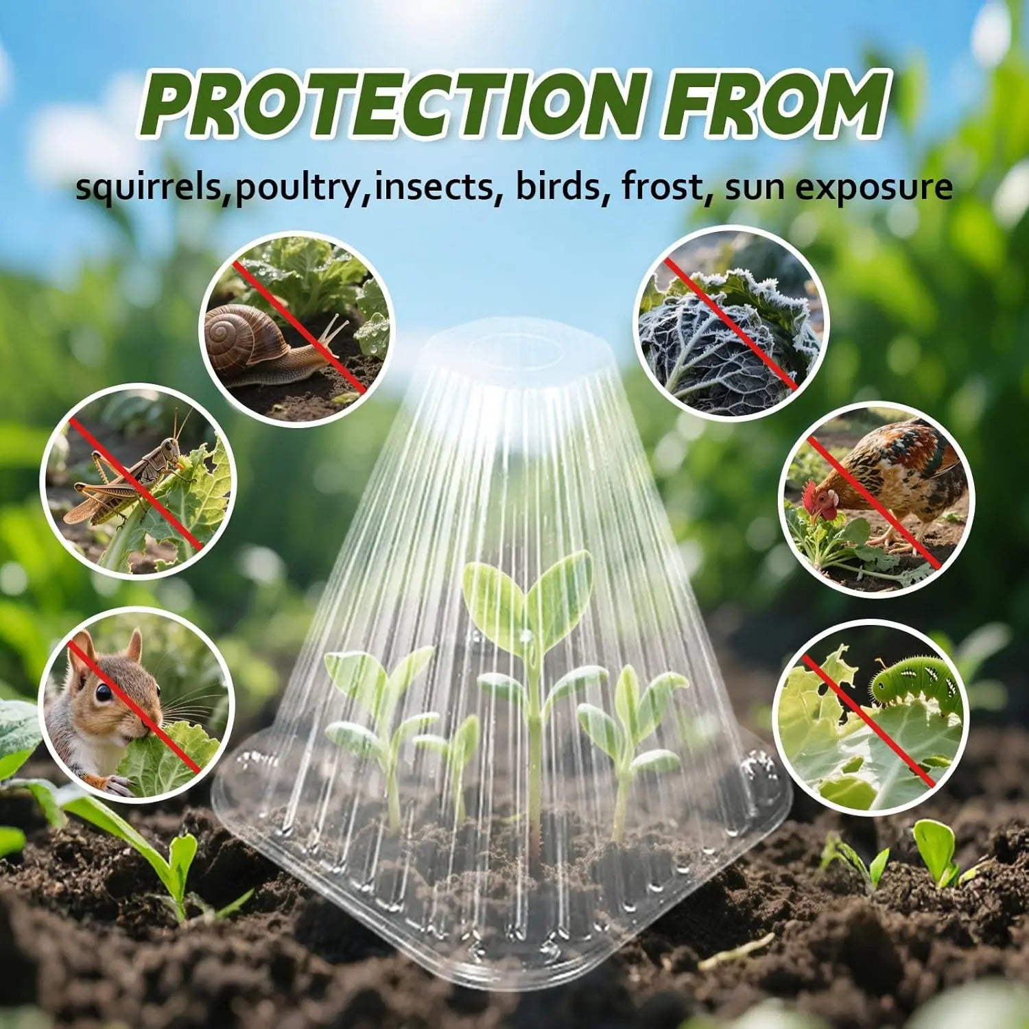 12/24pcs Reusable Plant Cloche Breathable Mini Greenhouse Cover Clear Frost Wind Guard Seedling Protector Garden Plant Shield Oasis Select