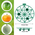 Watermelon Support Stand 10 Pieces Watermelon Harvest Basket for Garden Stackable Plant Growing Holder Rack for Squash Pumpkins Oasis Select Green