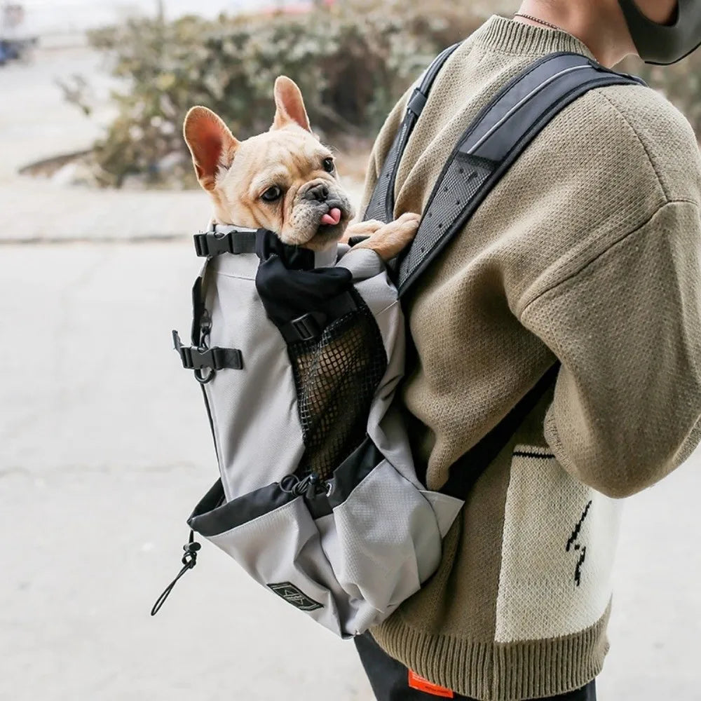 Breathable Mesh Dog Backpack Carrier | Adjustable, Washable S–XL