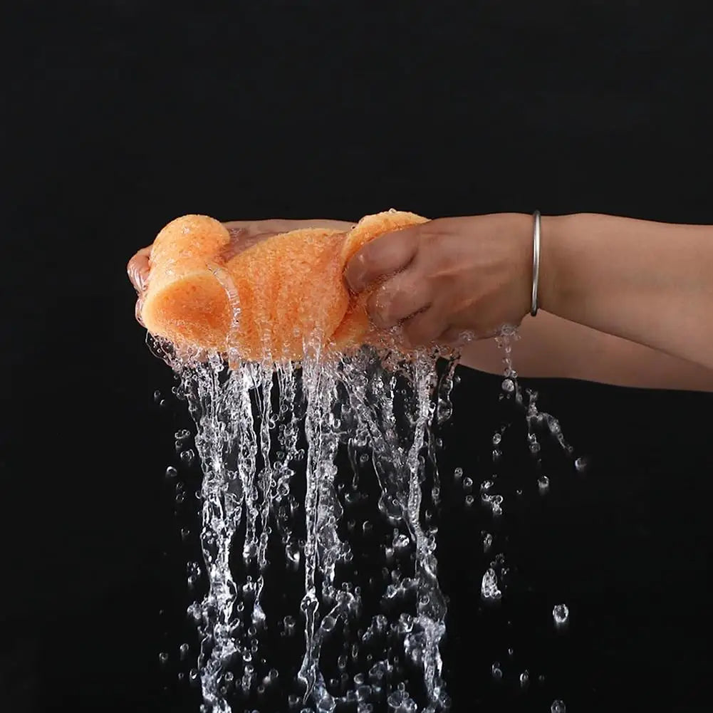 Honeycomb Car Wash Sponge Set – 5-Piece Auto Detailing Foam Car Wash Sponge Oasis Select