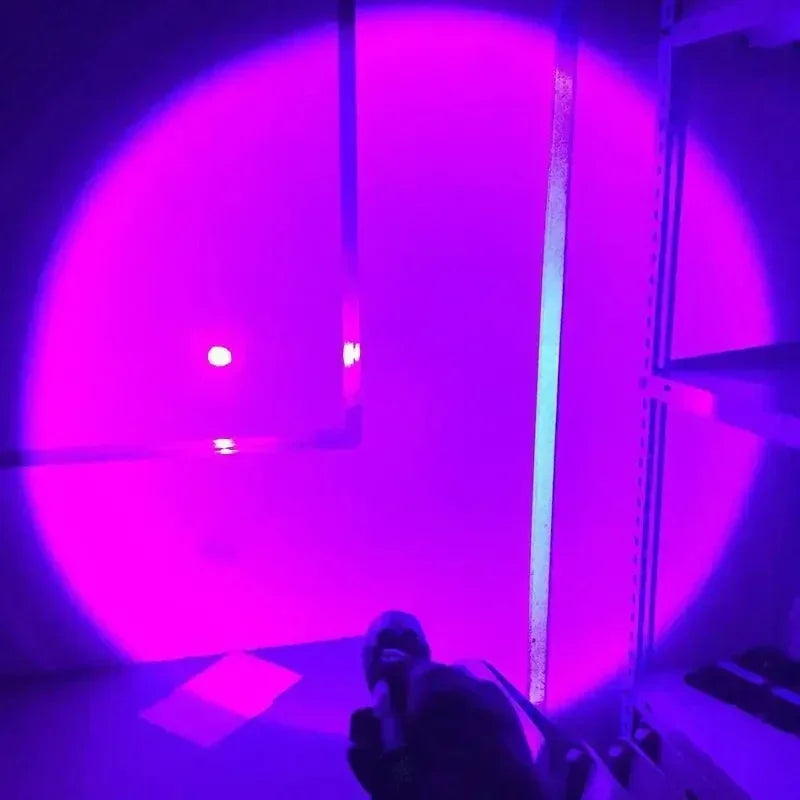 395nm UV Blacklight Flashlight | Zoomable USB Rechargeable