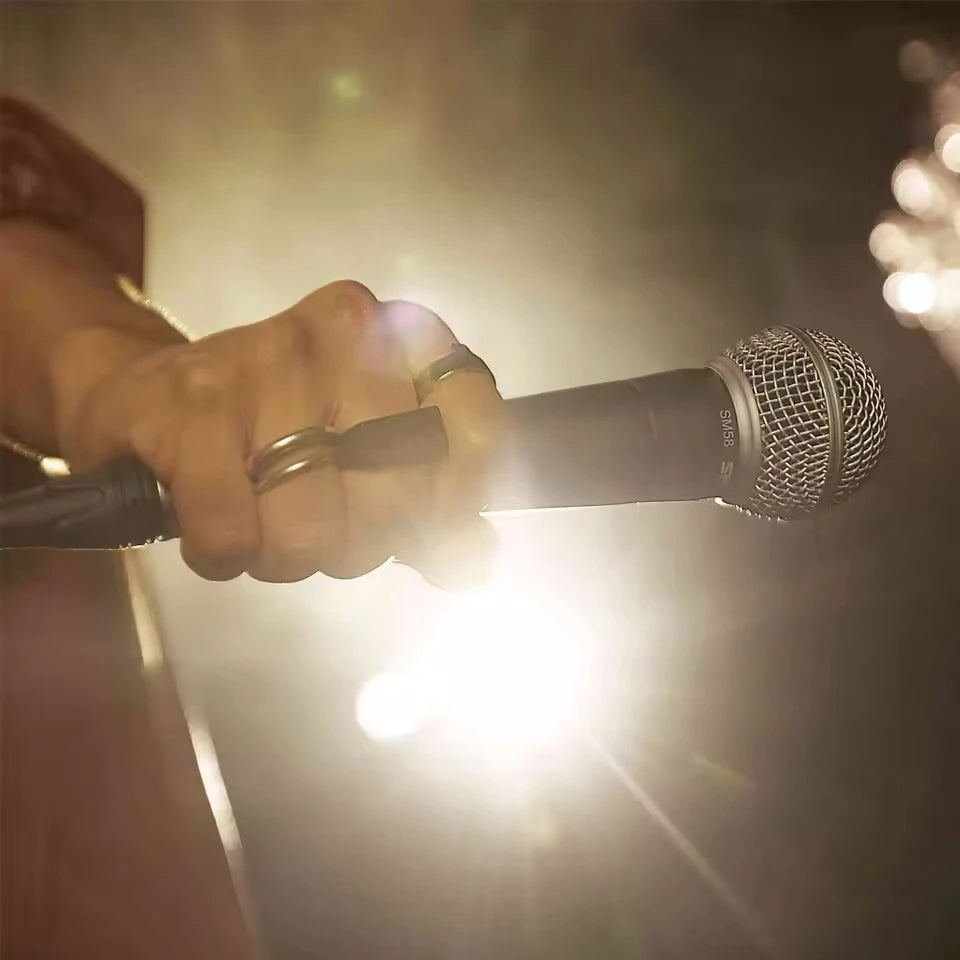 AyeBeau Wired Dynamic Karaoke Microphone | PC & Live Streaming