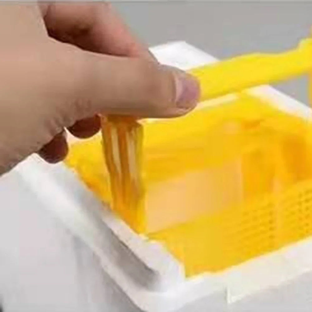 Foam Beehive King Box – Beekeeping Mating & Pollination Kit Beekeeping Hive Box Oasis Select spain