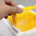 Foam Beehive King Box – Beekeeping Mating & Pollination Kit Beekeeping Hive Box Oasis Select spain