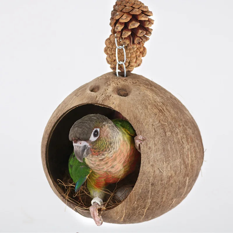 Coconut Bird Nest Hut With Ladder Hanging,Hanging Coconut Bird House Parrot Hideout Bird Cage For Lovebird Pigeons Pet Supplies Oasis Select