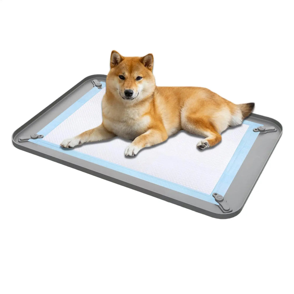 Silicone Pee Pad Holder Leak Proof Puppy Potty Training Pad Holder With Raised Edge Dog Training Pad Holder Pet Supplies Oasis Select