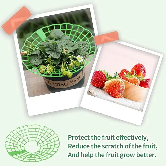 10Pcs Strawberry Plant Support Racks Green 3-Legged Plant Protector Stand for Strawberry Watermelon Garden Planting Accessories Oasis Select