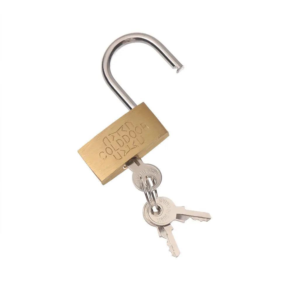 Mini Copper Lock with 2 Keys Brass Padlock Travel Luggage Case Padlock Security Tools Locker Case Supply Home Improvement Oasis Select