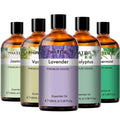 PHATOIL 100ml Pure Essential Oil – Lavender, Eucalyptus & More