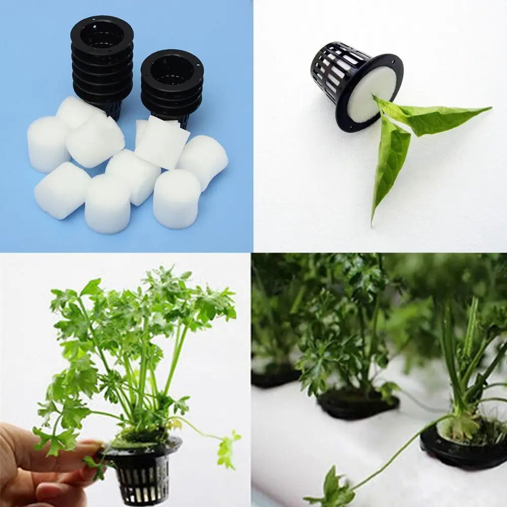 10pcs Germinate Hydroponic Garden Clone Vegetable Plant Grow Net Cup Nursery Pots Planting Basket Mesh Pot Oasis Select