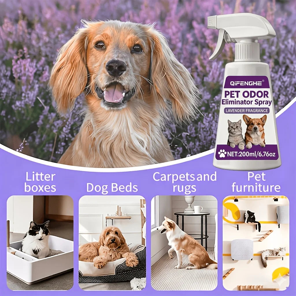 Pet Urine Odor Remover Spray – Fast-Drying & Pet-Safe Pet Odor Remover Oasis Select