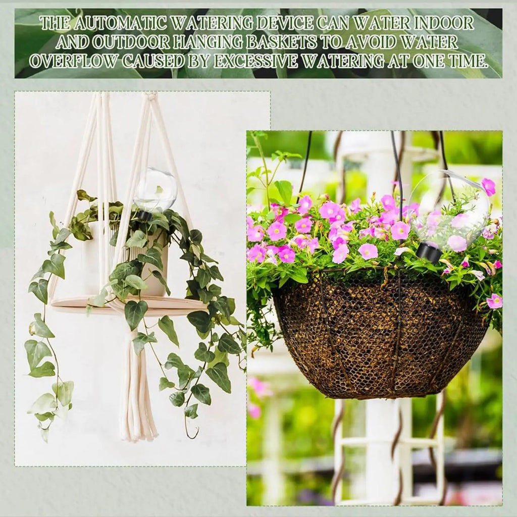500ml Spherical Automatic Watering Ball Self Watering Plant Watering Bulbs for Garden Flower Plants Watering Balls Device Oasis Select