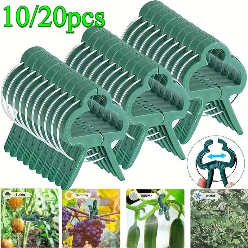 10/20PCS Adjustable Plant Fixed Clips Reusable Greenhouse Bracket Fixing Stems Flower Vine Tomatoes Fastener Garden Tool Oasis Select