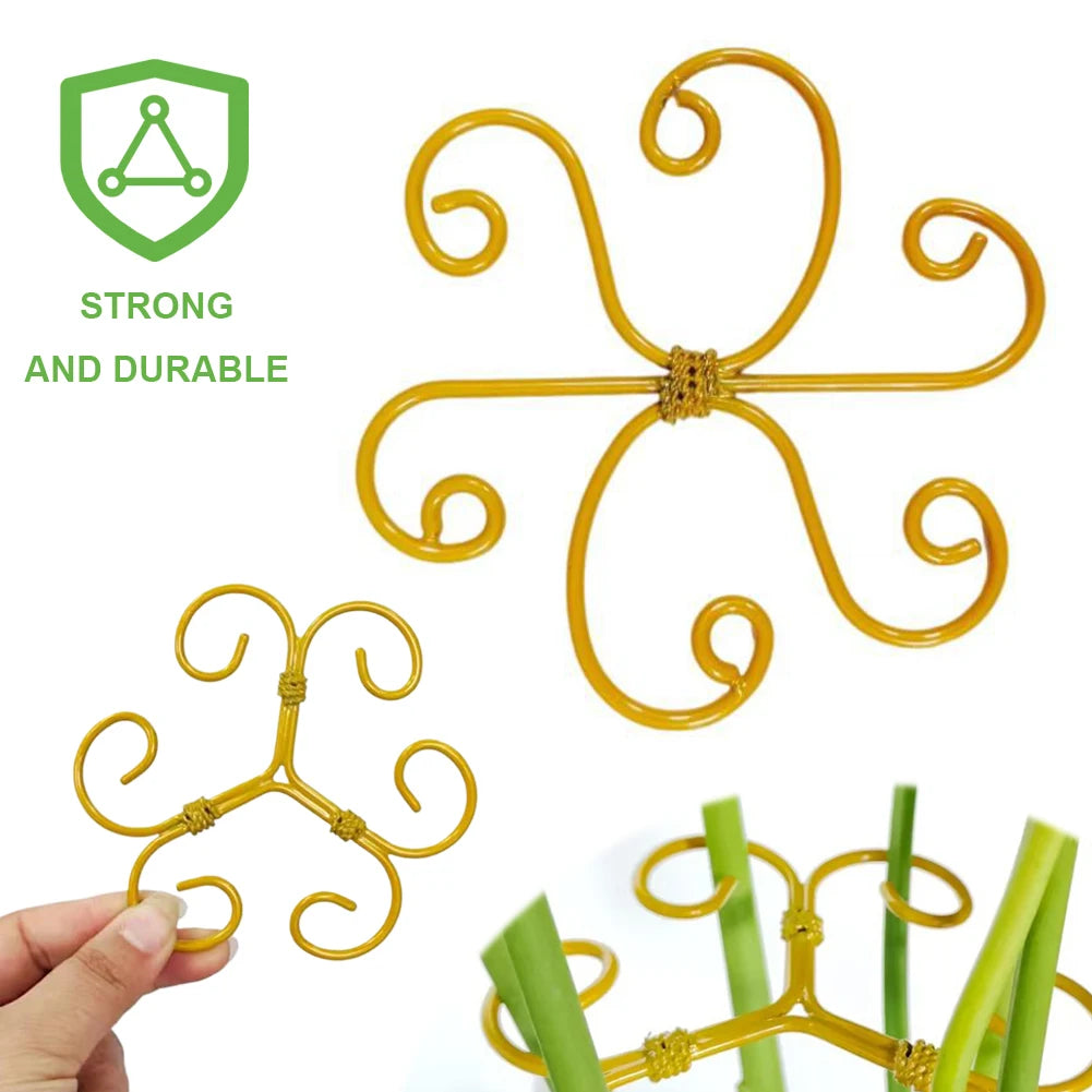 5-Pack Metal Plant Stem Support & Monstera Stabilizer Set Plant Stem Support Oasis Select