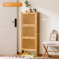 Ultra-thin shoe cabinet home door 2025 new retro black porch cabinet home tipping bucket storage shoe rack Oasis Select primary 3-50