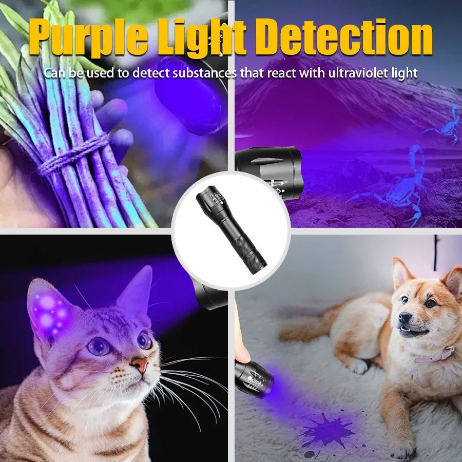 2-in-1 UV & White LED Zoomable Flashlight | 395nm Torch