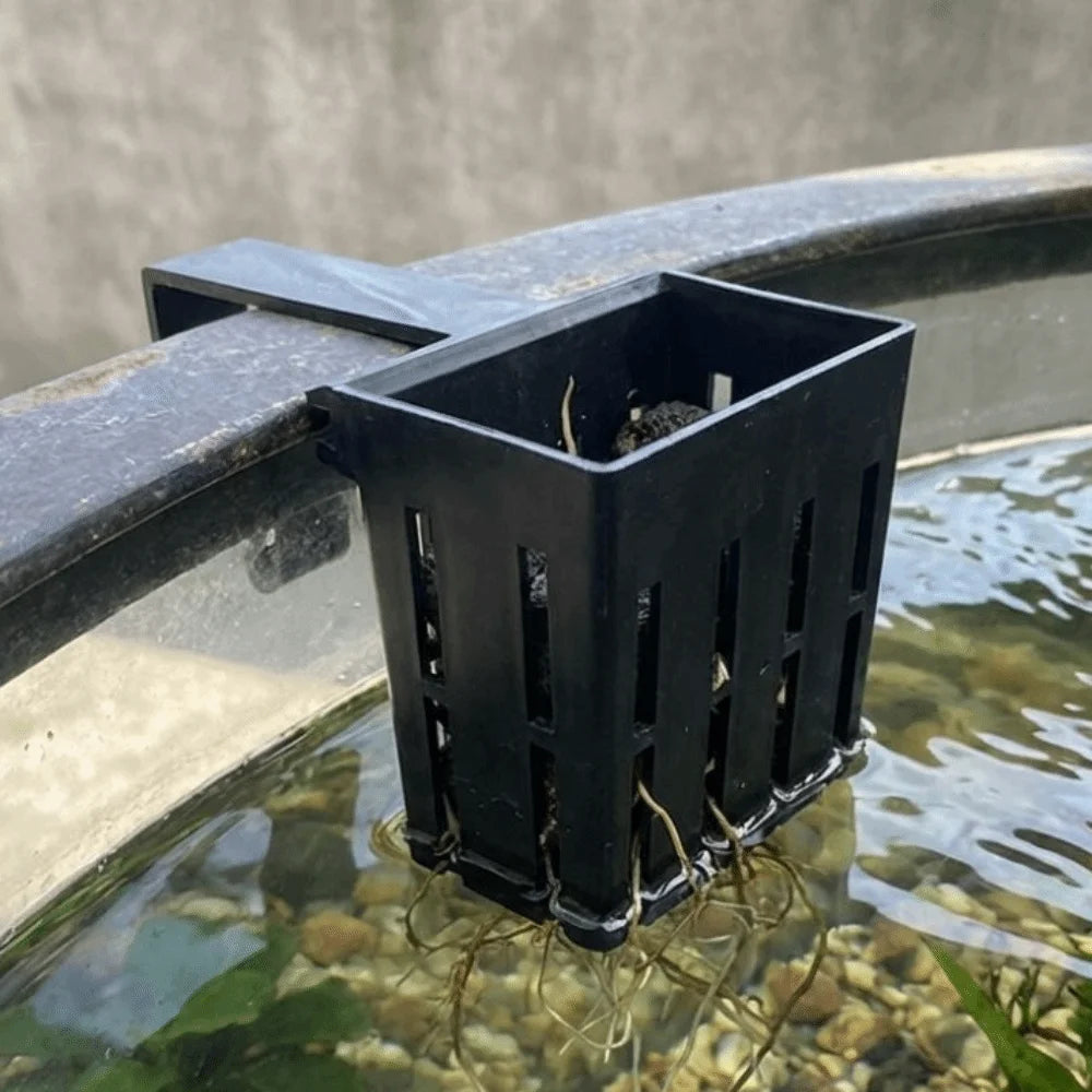 Wall-Mounted Aquarium Plant Basket | Aquatic Tank Planter 3-Pack