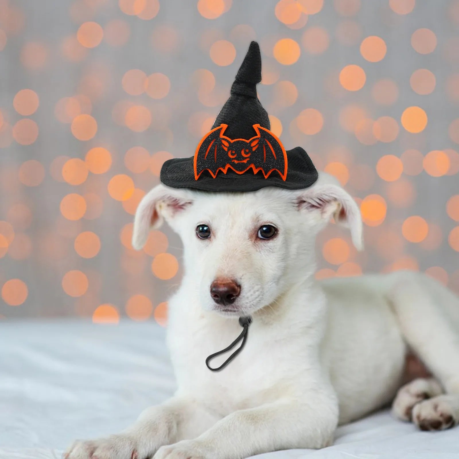 Halloween Spider Web Witch Hat Elastic Hair Band Pet Supplies Dog Cat Pumpkin Bat Hat Hair Accessories Happy Helloween Party Oasis Select