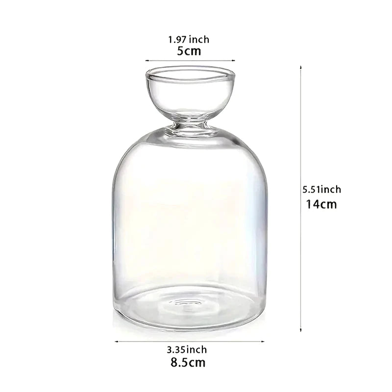 Avocado Seed Starter Vase Transparent Glass Vase Vase For Growing Plant Glass Seed Growing Kit For Gardening Lovers Oasis Select