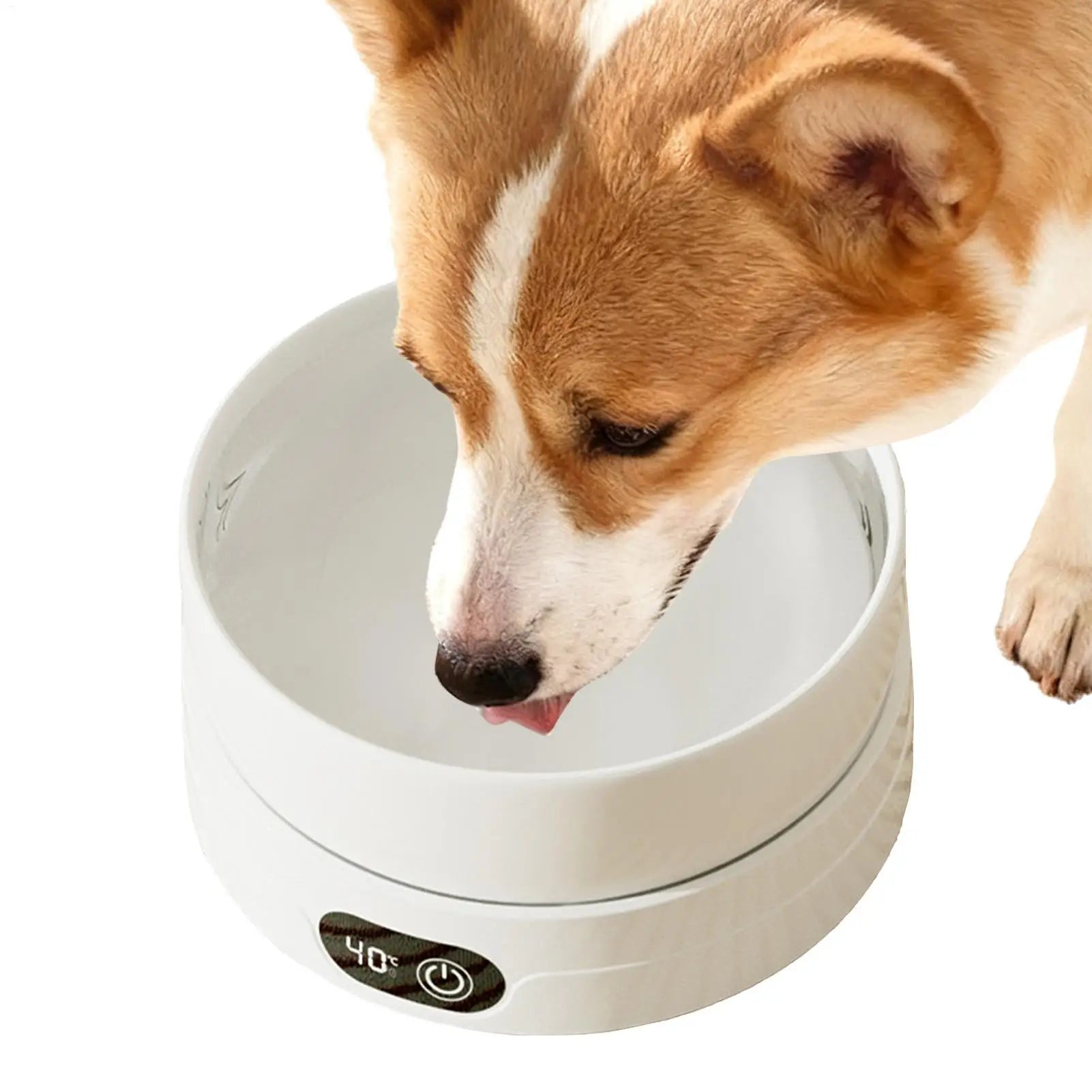 Heated Water Bowl for Dogs 4 Temperature Settings Pet Drinking Plate Thermal Dog Water Bowl for Chickens Ducks Animals Puppy Oasis Select