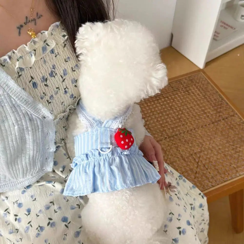 Cute Dog & Cat Princess Dress | Soft Breathable Summer Pet Skirt Pet Dress Oasis Select