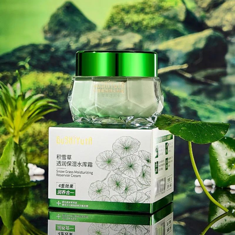 Centella Asiatica Snow Grass Face Cream – Brightening & Firming Face Moisturizer Cream Oasis Select 50g