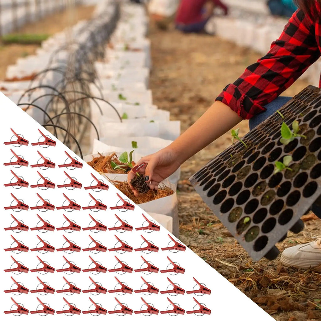Plant Grafting Clips Pack Of 50 Plant Fixing Clamp Falt Mouth Climbing Supports Connects For Vegetable Vine Gardening Connector Oasis Select