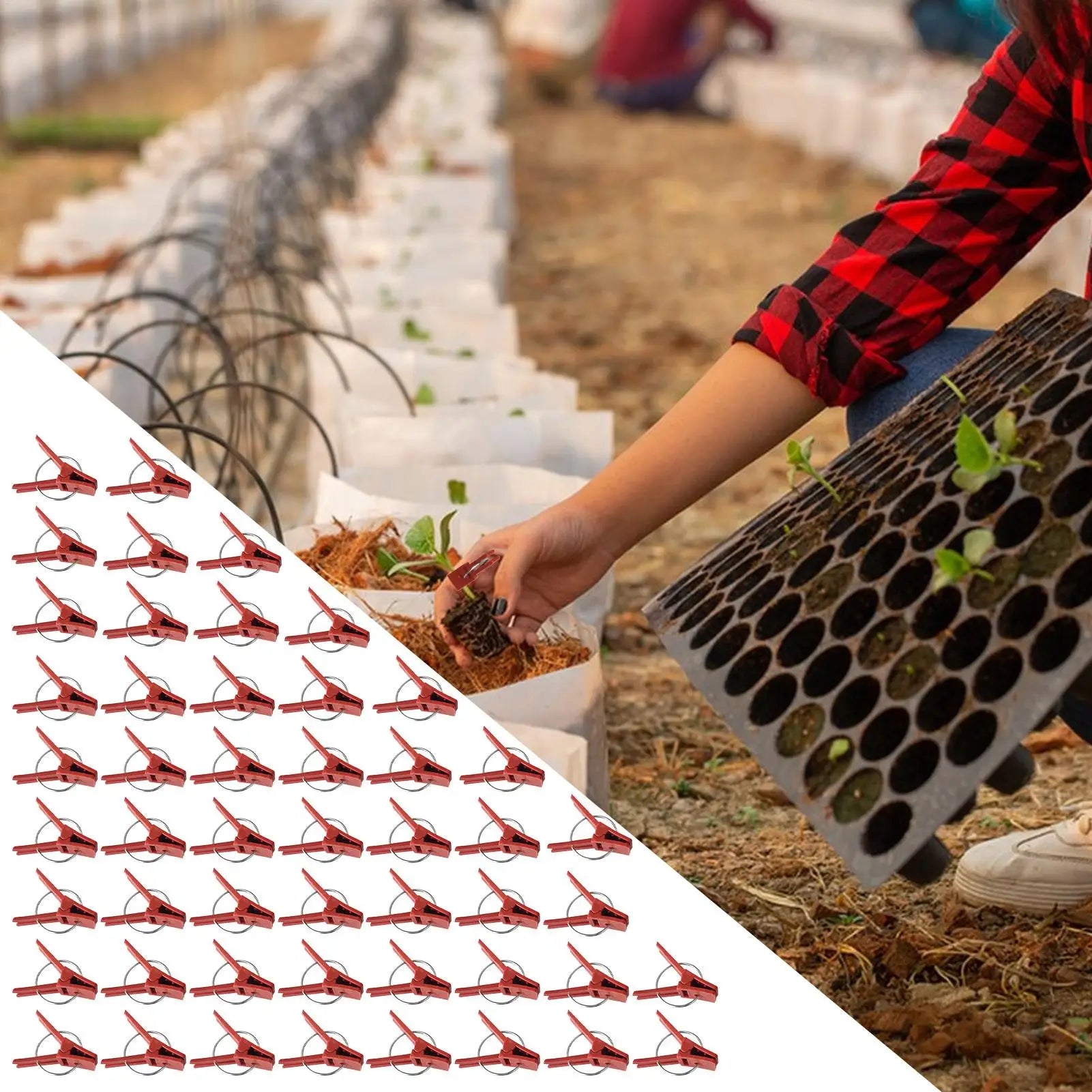 Plant Grafting Clips Pack Of 50 Plant Fixing Clamp Falt Mouth Climbing Supports Connects For Vegetable Vine Gardening Connector Oasis Select