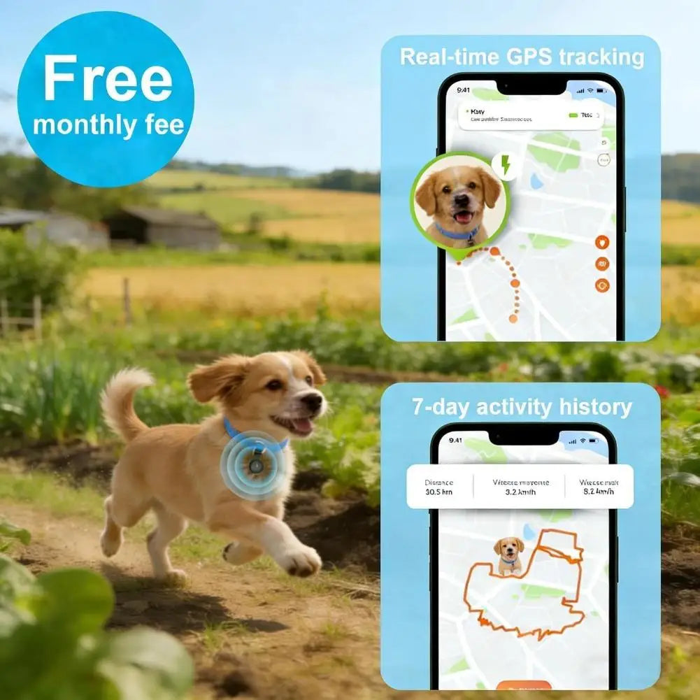 Remote Pet GPS Tracker with Detachable Reflective Collar, Real-Time Tracking Movement Alert Collar, for Cats Dog Anti-lost Oasis Select