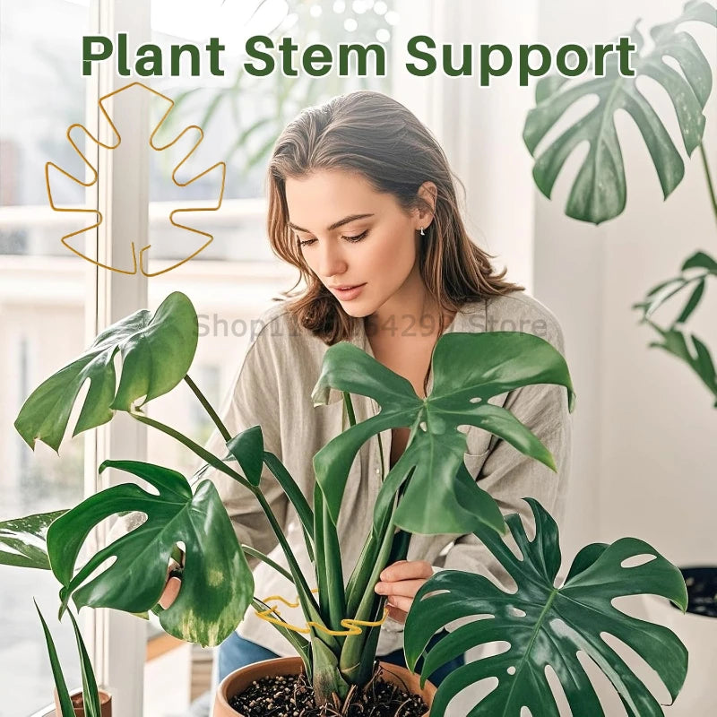 Large Monstera Plant Support Frame Sturdy Climbing Stems Leaf Stabilizer for Tall Houseplant Hanging Plant Stand Plants Holder Oasis Select