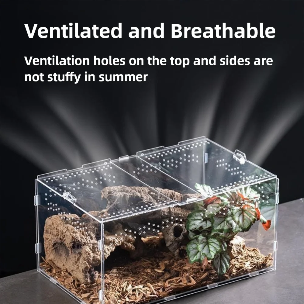 Durable Acrylic Reptile Habitat Clear Multiple Size Spider Feeding Case Arboreal Anti-Escape Lizard Breeding Box for Chameleon Oasis Select