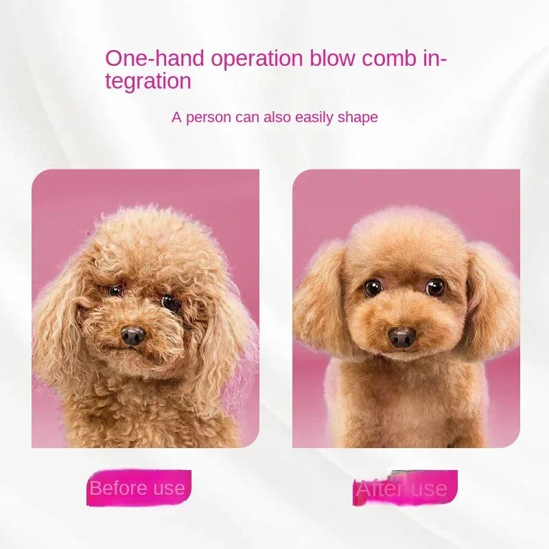Pet Hair Dryer Dog Grooming Golden Retriever Hairdressing Dog Drying Brush Hair Comb Mute Not Hurt Hair Water Blower Oasis Select